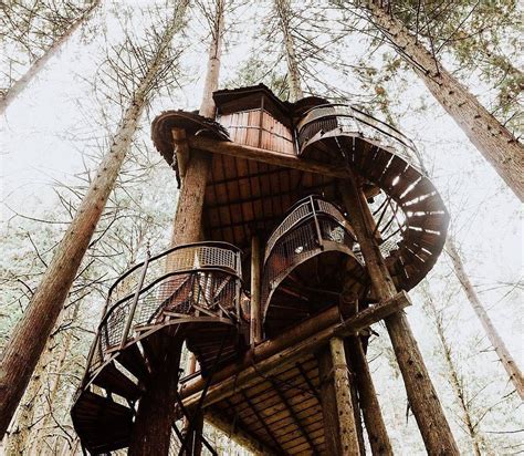 Magic filled treehouse near the eiffel tower